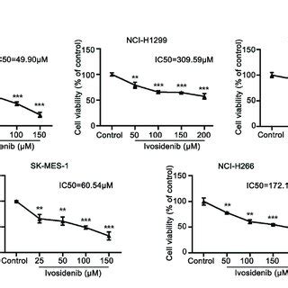 Ivosidenib Inhibits The Cell Cycle In NSCLC Cells A Flow