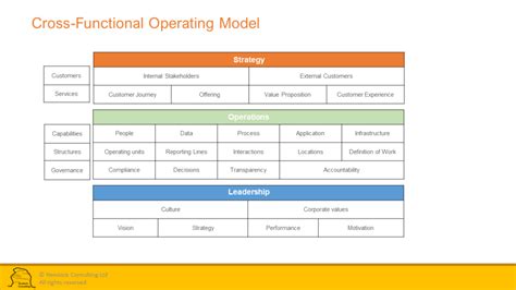 Transformation of the Digital operating model – Hemlock Consulting