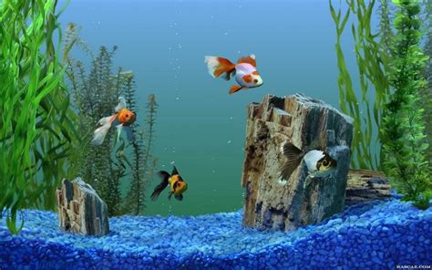 Animated aquarium screensaver for windows 7 - finderslasopa