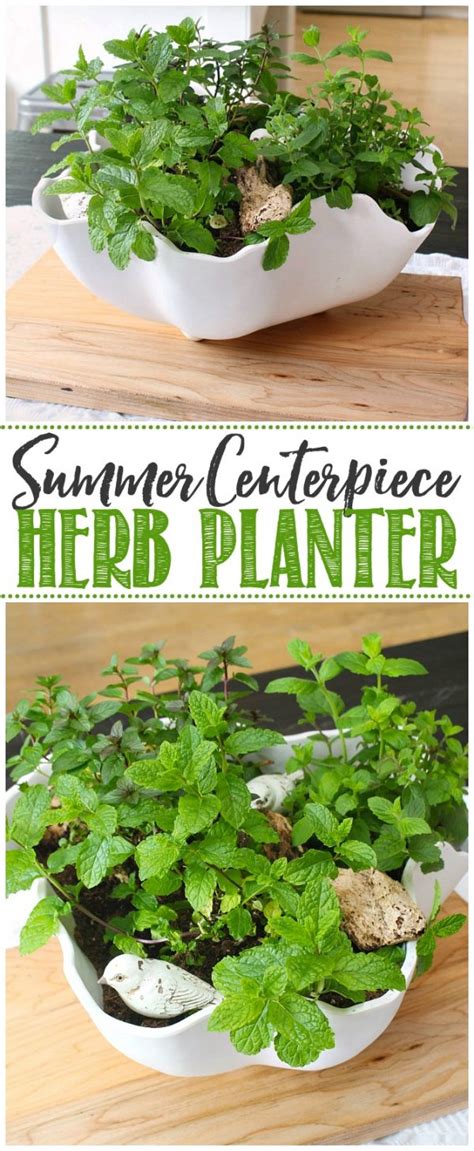 Herb Planter Centerpiece Clean And Scentsible