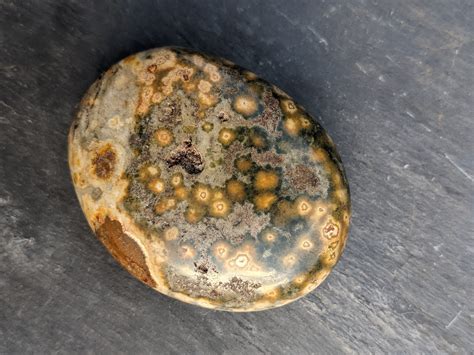 Rare Orbicular Ocean Jasper Palm Stone Fish Eye Ocean Jasper Etsy