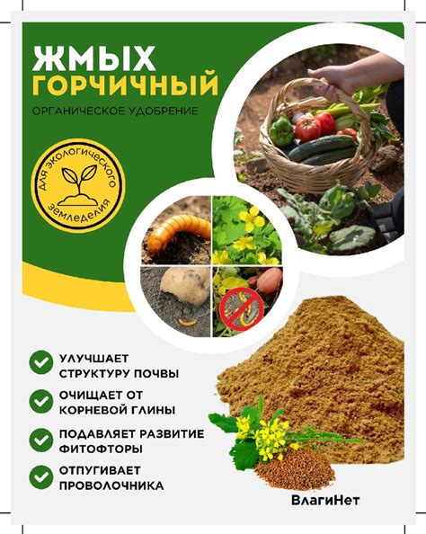 Биостимулятор ВлагиНет Жмых горчичный 1 кг 1000 г 2 мл - купить по ...