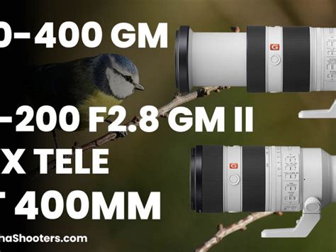 Sony A1 Vs A7R V Detailed Comparison Alpha Shooters