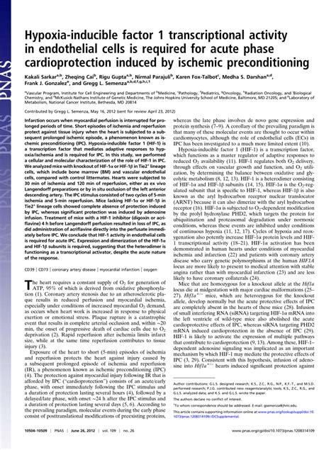 Pdf Hypoxia Inducible Factor Transcriptional Activity In