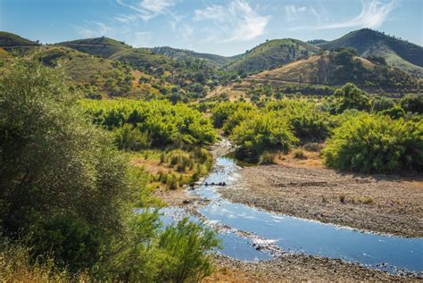 Banco de imagens agua nuvem céu plantar recursos hídricos Formas