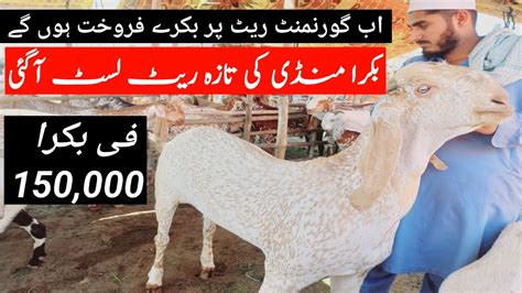 Live Soda Kitne Ka Liya Bakra Eid Bakramandi