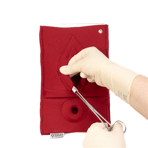 Set Of Palpation Of Superficial Perineal Muscles Nd Degree Trauma And Anal Sphincter Defect