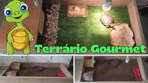 Como fazer Terrário para Jabuti em casa jabuti terrario terrarios