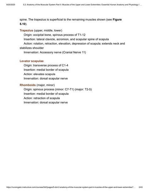 SOLUTION 5 2 Anatomy Of The Muscular System Part Ii Muscles Of The