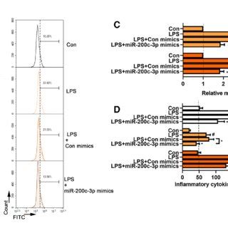 Effects Of MiR 200c 3p On Microglia Activation In LPS Treated BV2