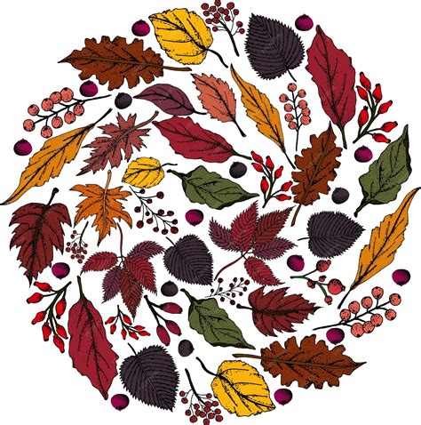 Premium Vector | Autumn wreath and frames vector illustration. fall leaves.