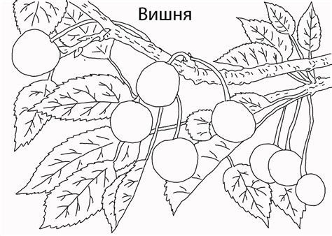 Раскраска ягоды скачать и распечатать