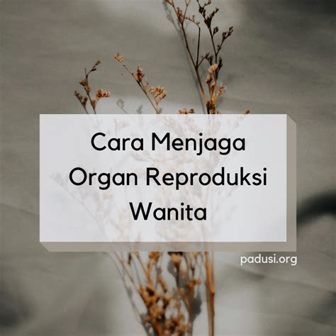 Cara Menjaga Organ Reproduksi Wanita Padusi Org