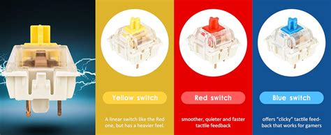 Surmen Wireless Gaming Keyboard Percent Rgb Backlit Hot Swappable Gt Mini Mechanical