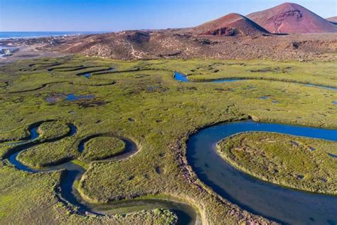 Gobierno de México decreta 13 nuevas áreas naturales protegidas en 6