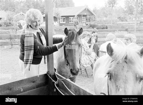 Report Fam Pony Park Slagharen Hi Res Stock Photography And Images Alamy