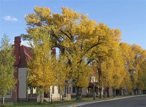 Visiting Yellowstone In Autumn Yellowstone Insider