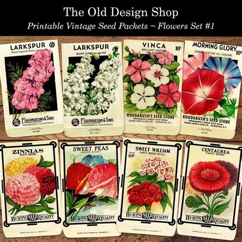 Vintage Flower Seed Packets Set 1 Commercial Use Printable JPG Digital ...