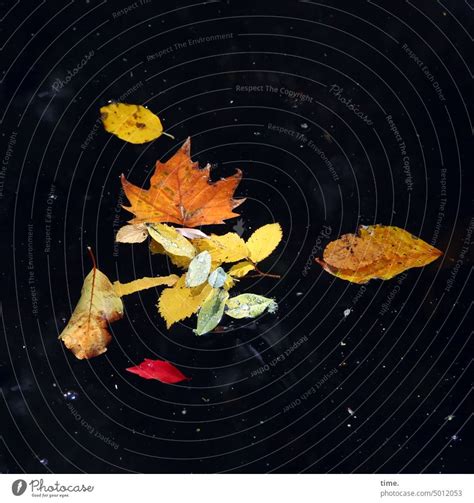 Nordarter Herbst Im Teich Ein Lizenzfreies Stock Foto Von Photocase