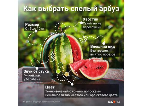 Где купить и как выбрать самые сладкие арбузы и дыни в Москве: адреса ...