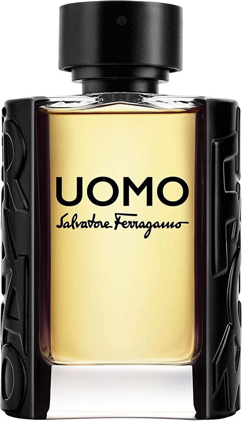 Salvatore Ferragamo Uomo Eau De Toilette Spray 100 Milliliter Amazon