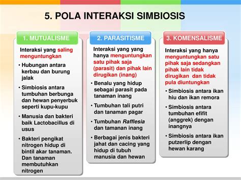 Detail Contoh Pola Interaksi Koleksi Nomer