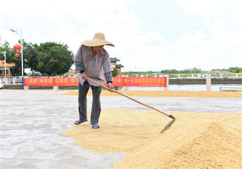 【扫黑除恶 江门在行动】扫黑除恶助力乡村振兴示范村 开平市这样打造工作动态江门市文化广电旅游体育局