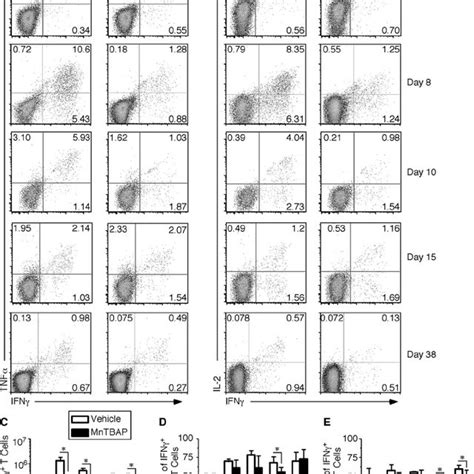 Decreased Cytokine Production By Virus Specific Cd4 ϩ T Cells From Mice