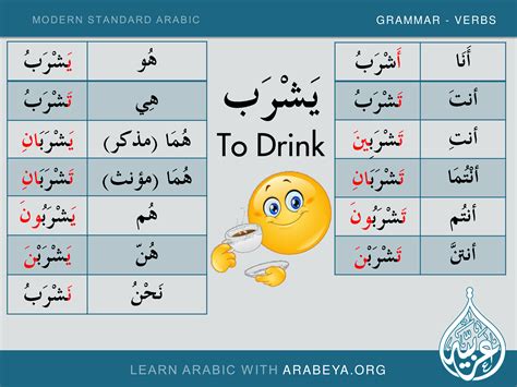 To Drink Arabic Verbs, Quran Arabic, Arabic Phrases, Arabic Alphabet ...