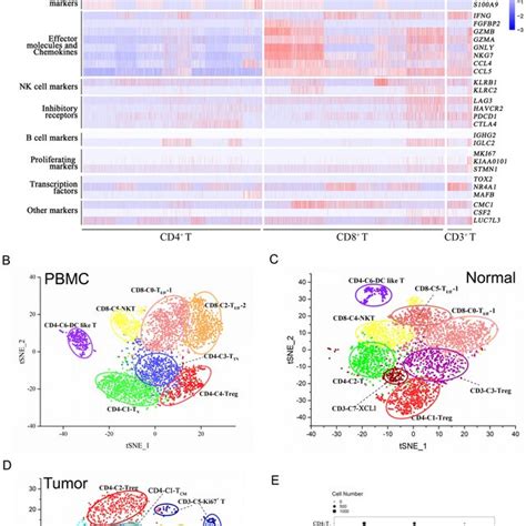 Single Cell Profiling Of Tumor Infiltrating T Cells In Ubc1 A Heat