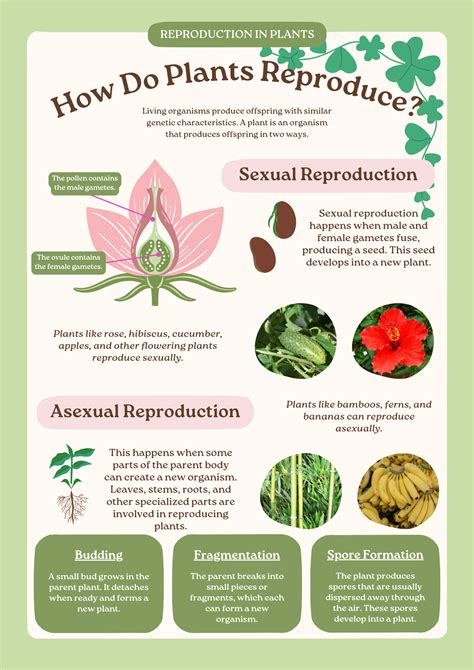 Plant Reproduction How Do Plants Reproduce
