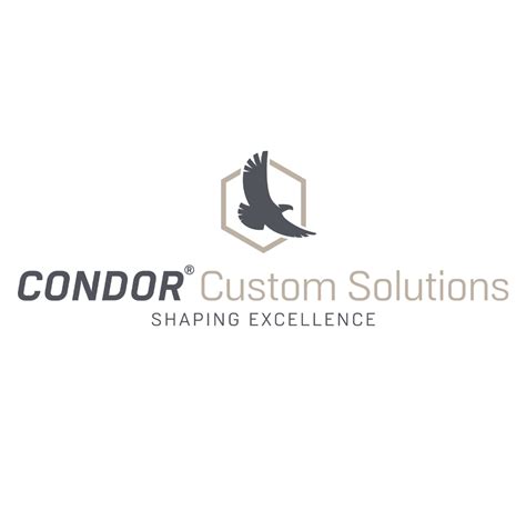 News Condor Group