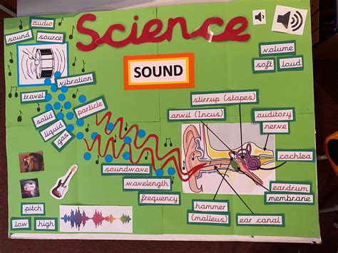 A Poster With Words And Pictures On It That Read Science Sound