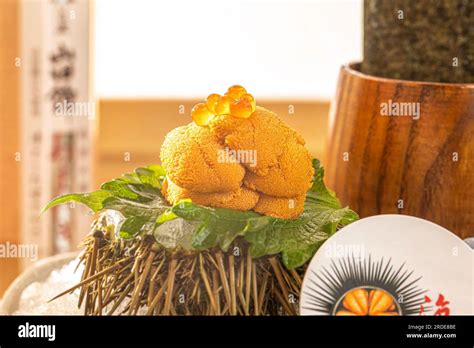 Sea Urchin Eggs Hi Res Stock Photography And Images Alamy