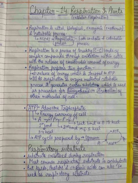 SOLUTION Class 11 Respiration In Plants Studypool