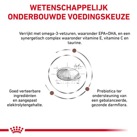 Royal Canin Gastro Intestinal Low Fat | Darmproblemen | Medpets.be