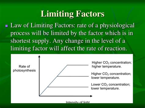 Factors Affecting Photosynthesis