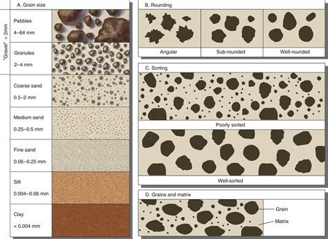 Sedimentary Grain Size And Sorting Cheat Sheet Geology Sedimentary