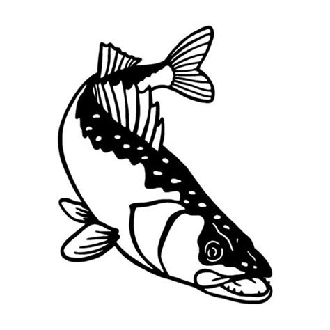 The best free Walleye drawing images. Download from 54 free drawings of ...