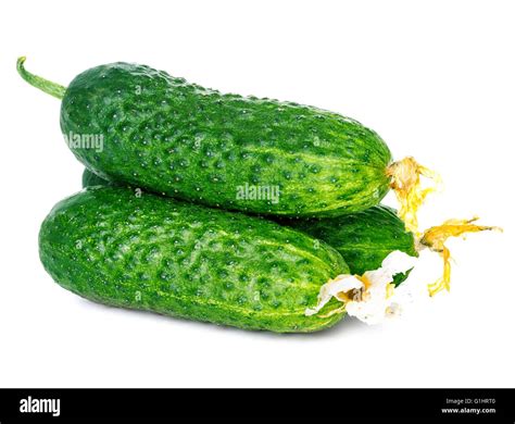 Fresh Ripe Green Cucumbers Isolated On White Background Stock Photo Alamy