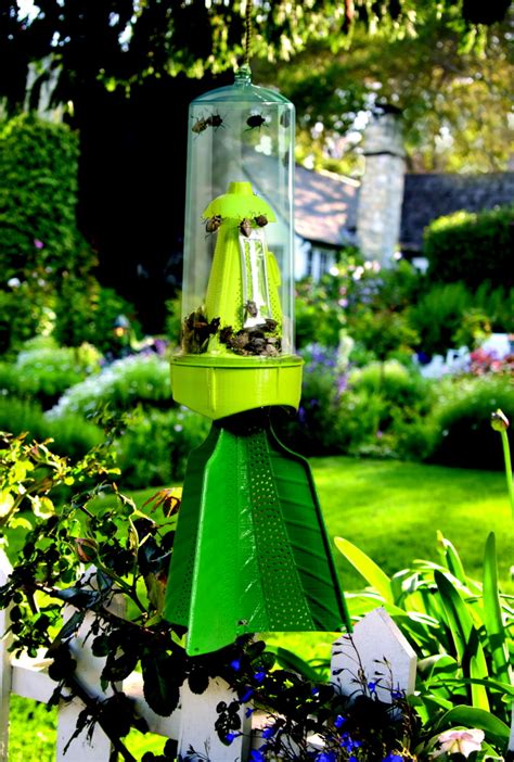 Stink Bug Trap By Marc Chapin At