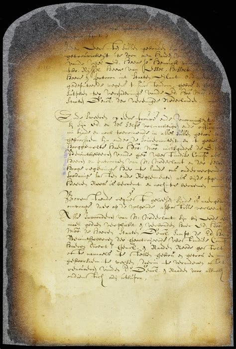 Document Petition Of Dirck Van Schelluyne Agent Of Baron Van Der