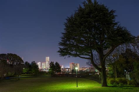 浅間台みはらし公園（神奈川県横浜市西区）の夜景写真 こよなく夜景を愛する人へ