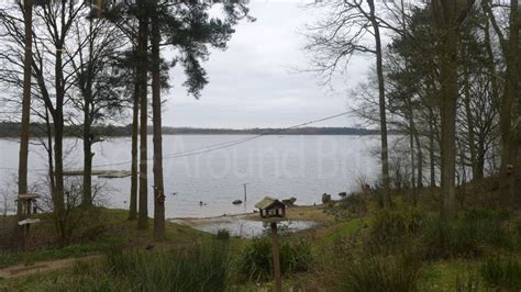 Pictures of South Hanningfield Reservoir and Visitor Centre - See ...