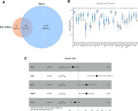 Identification Of Prognostic Genes A Venn Diagram Of De Hrgs And