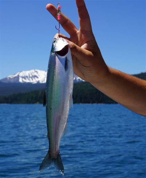 Fishing on Crescent Lake, Oregon | Crescent lake, Oregon pictures ...