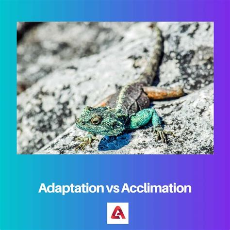 Adaptation vs Acclimation: Difference and Comparison