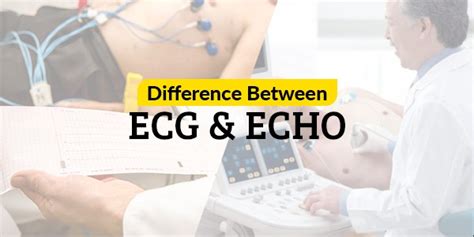 The Difference You Need To Know Between Ecg And Echo