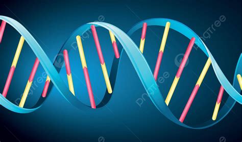 Dna Phosphodiester Phosphate Nucleotides Vector, Phosphodiester ...