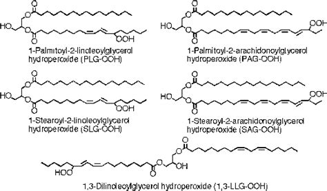 Structures Of Various Molecular Species Of Diacylglycerol Hydroperoxide